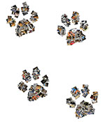 Paw prints picture collage